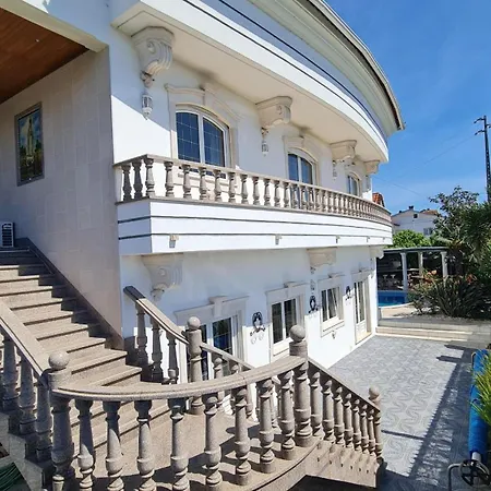 Silver Coast Pool &