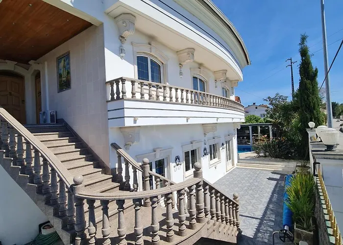 Silver Coast Pool &
