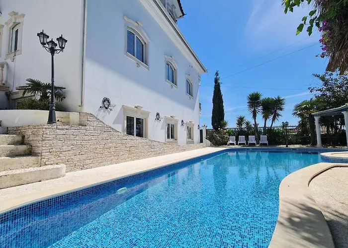 Silver Coast Pool &